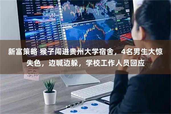 新富策略 猴子闯进贵州大学宿舍，4名男生大惊失色，边喊边躲，学校工作人员回应