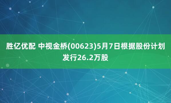 胜亿优配 中视金桥(00623)5月7日根据股份计划发行26.2万股